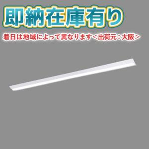 Panasonic（パナソニック） XDL461KGNLE9 iDシリーズ 非常灯 6900 lm