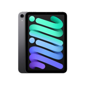 Apple iPad mini 第7世代 Wi-Fi 128GB MXN63JA スペースグレイ【お