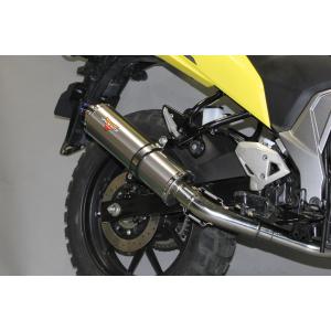 BEAMS（ビームス） BEAMS G349-53-S2J (SUZUKI : Vストローム250SX