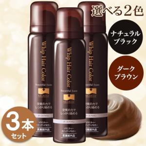 ビーリス b.ris エアリーカラーリングフォーム 80g ブラック 白髪染め