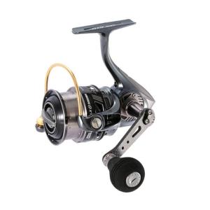 DAIWA（ダイワ） スピニングリール 25 CALDIA(カルディア) LT3000S-CXH