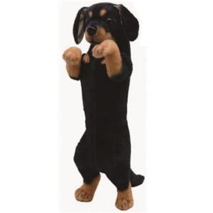 ひざわんこ ミニチュアダックス レッドブラウン ダックスフント 犬