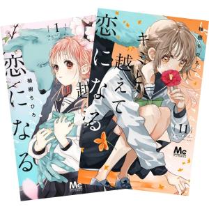 ある日、お姫様になってしまった件について 1巻〜13巻 完結 全巻セット