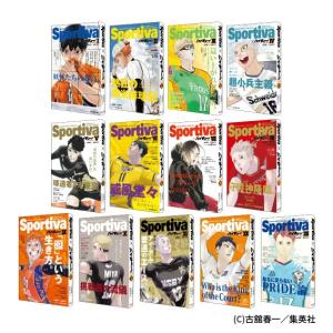 集英社（SHUEISHA） ハイキュー部!! 1〜14巻 全巻セット 全巻新品