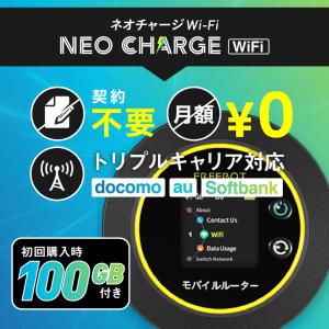 ecoco ポケットWi-Fi 新モデル 1年間 100GB データ付 契約不要 月額