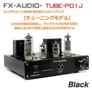 FX AUDIO FX-AUDIO- FX-1001Jx2[ブラック] TPA3116 デジタルアンプIC