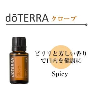 ドテラ ベチバー 15ml シングルオイル 【使用期限：2027年11月】 : N&H