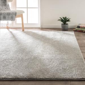 ニトリ（NITORI） アクセントラグ( NウィンザIV 200X285) 無地