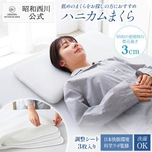 トゥルースリーパー（True Sleeper） 低反発 万能まくら(腰ラクまくら