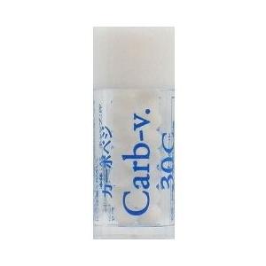 ホメオパシージャパンレメディー 新36キッズキット (20)ラカシス200C