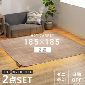 ホットカーペット 3畳 ラグ セット TEKNOS 200×240cm おしゃれ 節電