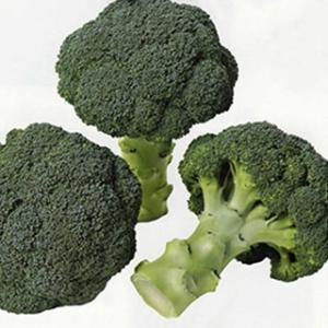 SK9-099 ブロッコリー種子 ペレット5000粒 【野菜種子】【サカタのタネ