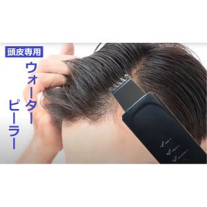 HairRepro アデランス ハイブリット美容デンキブラシ DoRAISE