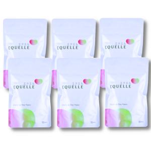 大塚製薬 【厚紙封筒】調剤薬局から発送するから安心 エクエル パウチ