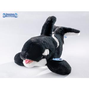 すてれっぱつシャチぬいぐるみ : 鴨川シーワールドオルカショップ