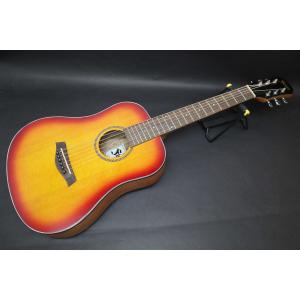 アコースティックギター 初心者 セット 台数限定 Epiphone AJ-100/VS