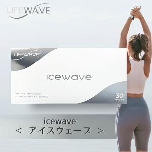 エックスサーティナイン ライフウェーブ X39 パッチシール 30枚 説明書