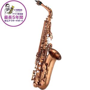 Gottsu SV950 Sax Neck Screw ゴッツ サックス ネックスクリュー ネジ