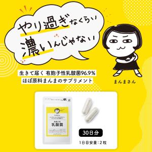 ユニシティ インナー クリーン ファイバー 10パック UNICITY 期限
