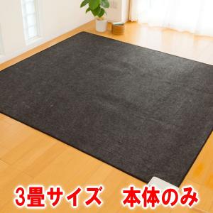 ゼンケン ホットカーペット 2畳タイプ本体のみ ZCB-20S 電磁波99