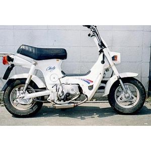 WirusWin（ウイルズウィン） ロッドダウンショートマフラー CHALY