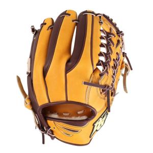 HI-GOLD（ハイゴールド） 軟式グラブ 内野用 限定スパンコールラベル F