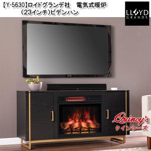 送料無料【Y-6187】ロイドグランデ社 電気式暖炉 パイオニアII／グレー