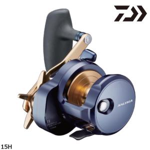 DAIWA（ダイワ） 25 ソルティガ 300HL 左ハンドル (2025年モデル