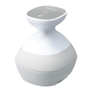 Panasonic（パナソニック） EH-HE0J-S(シルバー調) 頭皮エステ