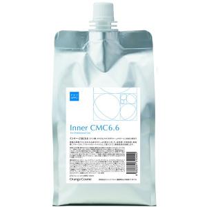 パール化研 エフェクトブリーチ プロテクションコート 400g (2点セット