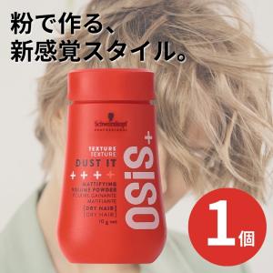 シュワルツコフ オージス OSiS+ ダストイット DUST IT 10g