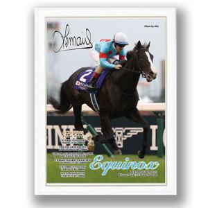 爆買 メイショウタバル ディスプレイフィギュア台座付き 競馬 競走馬