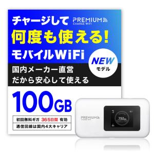 リチャージ式 ポケットwifi USB型 365日間 100GB チャージ済 モバイル