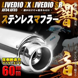 重低音サウンド ステンレス マフラー AF34 AF35 ライブディオ ZX/SR