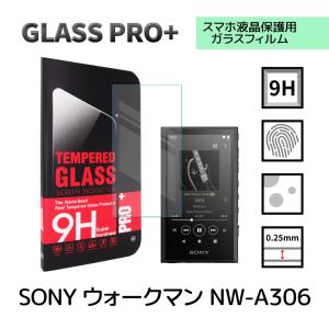 SONY NW-A306 クリア ケース/カバー 耐衝撃 TPU 背面カバー ソフト