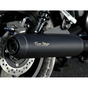 レブル WirusWin レブル250(8BK-MC49) スリップオンマフラー 耐熱