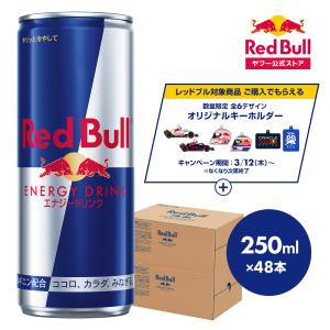 レッドブル（RedBull） ＼10%OFFクーポン対象 3/1まで／公式 エナジー