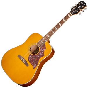 Epiphone（エピフォン） アコースティックギター Hummingbird Studio