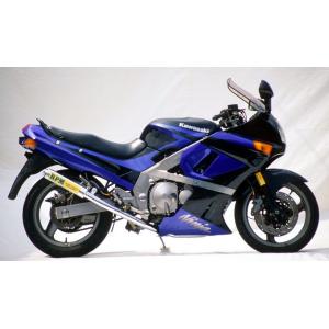 RPM ZZ-R400/ZZR400(93-00/ZX400N)用 RPM 67レーシング フル