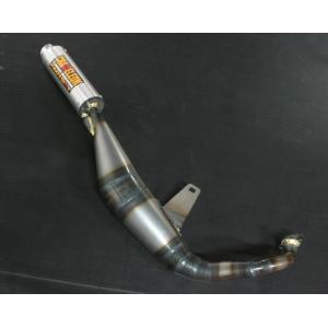 CHAMELEON FACTORY（カメレオンファクトリー） パラライザーIII