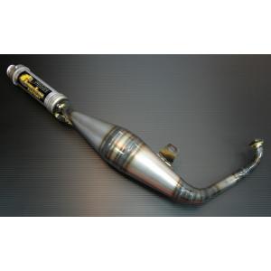 ライブディオ（DIO）/J/ZX パラライザー3チャンバー chameleon