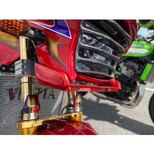 PLEASURE（プレジャー） ヘッドライトルーバー カラー：メタリック