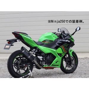 AKRAPOVIC（アクラポビッチ） スリップオンマフラー カーボン NINJA250