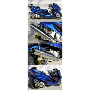 WirusWin（ウイルズウィン） スタイリッシュツインマフラー ジェット