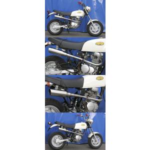 BURIAL（ベリアル） GP・M1・ストリートスペックサイレンサー XR100