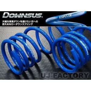 TANABE（タナベ） サステック NF210 ダウンサス 1台分 N-BOXカスタム