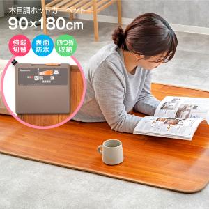 Panasonic（パナソニック） DC-PK3(T) ホットパネルM フローリング調