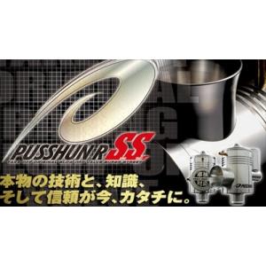 テイクオフ]プッシュンRSS DA64W/DA64V エヴリィ : TAKE OFF ヤフー店