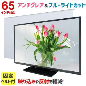 シャープ AQUOS 4K 4T-C65FL1 (65インチ) 液晶テレビ保護パネル 65型