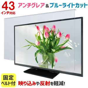 SANWA SUPPLY（サンワサプライ） テレビ 保護パネル 液晶テレビ TV